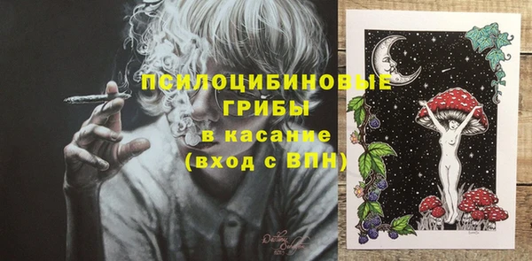 дмт Осташков
