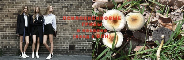 дмт Осташков