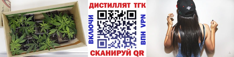 ТГК THC oil  Боготол 