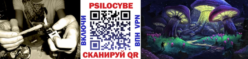 omg зеркало  нарко площадка формула  Псилоцибиновые грибы MAGIC MUSHROOMS  Боготол 